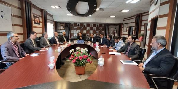 کمیته هماهنگی و پشتیبانی انتخابات