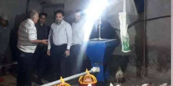 بازدید از یک واحد مرغداری