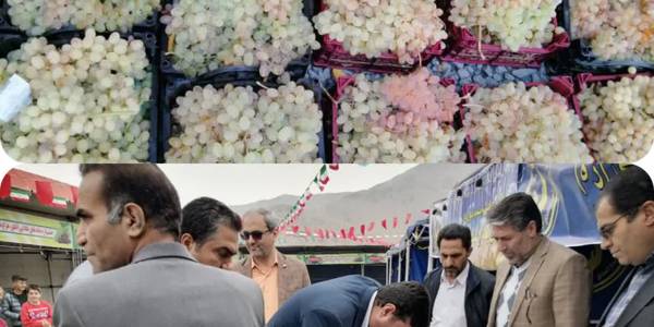 در اهمیت زکات همین بس که یکی از پایه های دین مبین اسلام شمرده شده و به عنوان درمان دردهای اقتصادی جامعه محسوب می شود