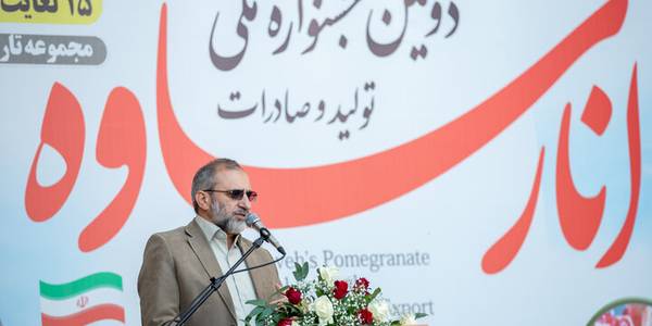 راه‌اندازی پایانه صادراتی انار ساوه در دستور کار قرار دارد