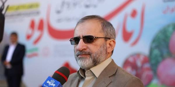 دولت از صنایع تبدیلی و فرآوری در بخش کشاورزی حمایت می‌کند