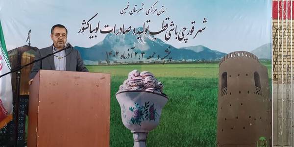 استان مرکزی در تولید محصولات کشاورزی دارای رتبه‌های برتر ملی است