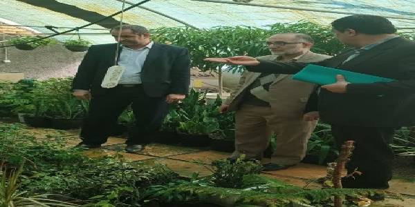 معاون توسعه مدیریت ومنابع استاندار از گلخانه استانداری بازدید کرد.