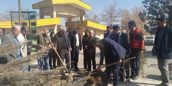 تعداد 50 اصله نهال در مرکز فنی و حرفه ای خمین غرس شد