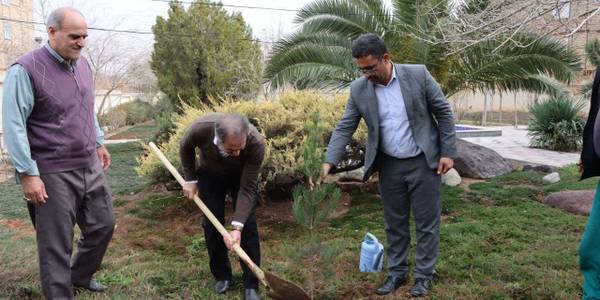 پانزدهم اسفندماه، روز درختکاری