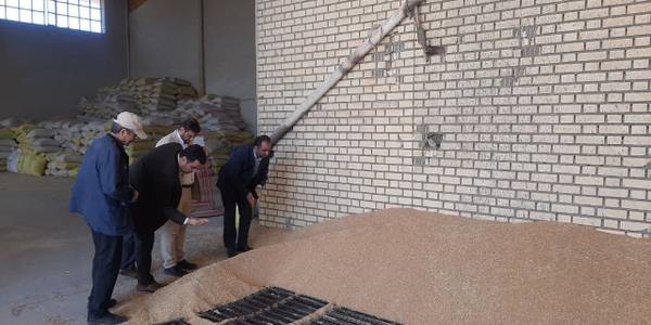 بررسی میدانی کارخانه آرد محلات