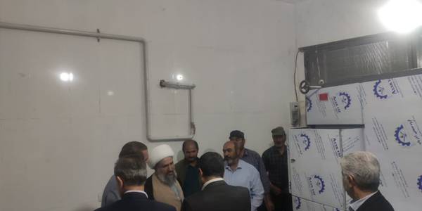 دهگردشی با هدف ستاد جهش تولید در روستای بیدلو بخش زاویه