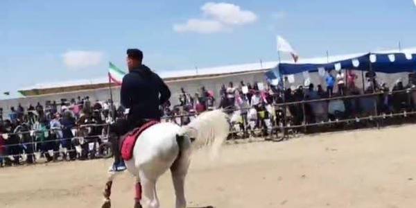 دومین همایش بزرگ اسب سواری و نمایش دست گردان اسب