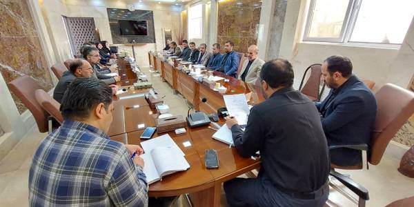 کارگروه فرهنگی اجتماعی سلامت زنان و خانواده شهرستان محلات  تشکیل جلسه داد.