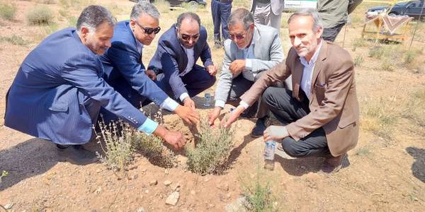 بهره‌برداری از عملیات نهال کاری، آبیاری و مراقبت در منطقه توتک شهرستان محلات