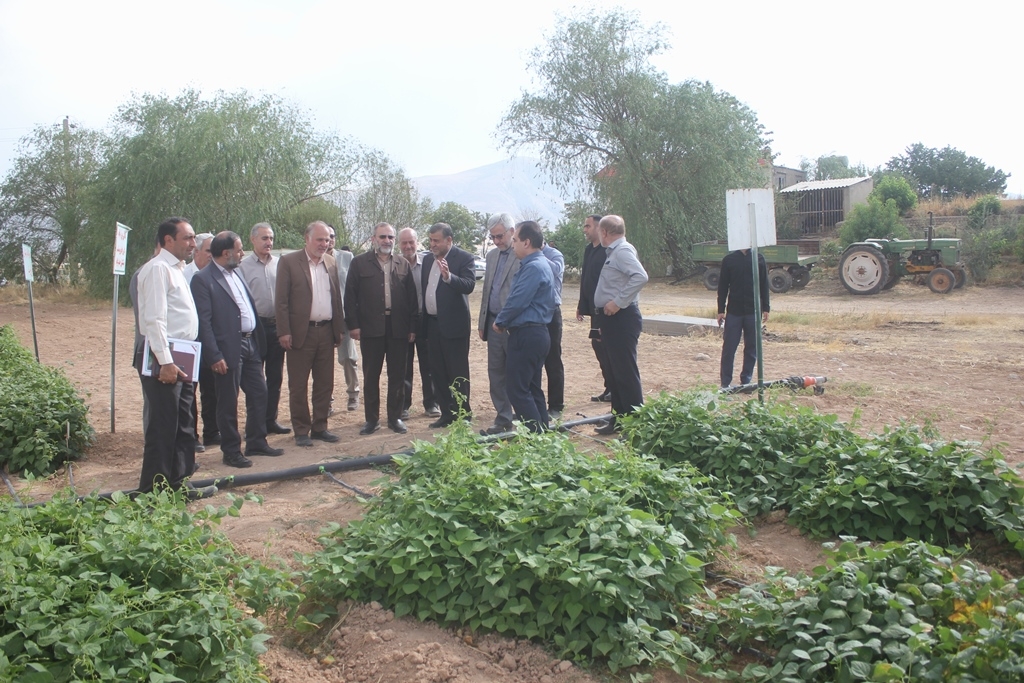استاندار مرکزی از روند برگزاری کارگاه آموزشی ملی آشنایی با راهکارهای نوین ارتقای بهره وری در زراعت لوبیا در شهرستان خمین بازدید کرد
