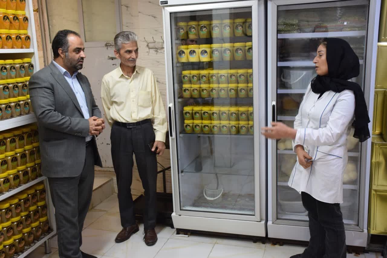 بازدید از کارگاه خانگی تولید محصولات خانگی یگانه