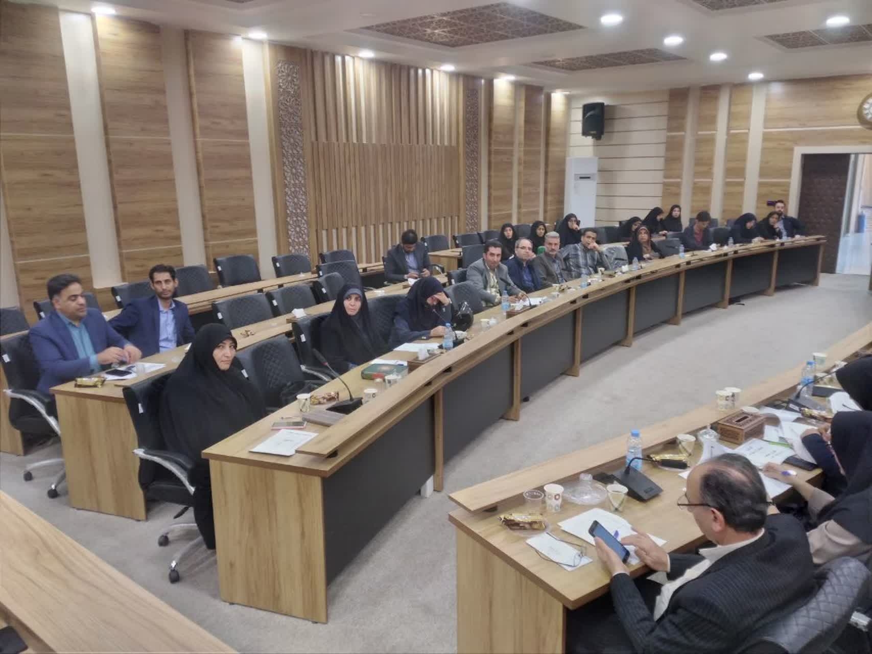 برگزاری کارگروه ویژه پیشگیری از سقط جنین