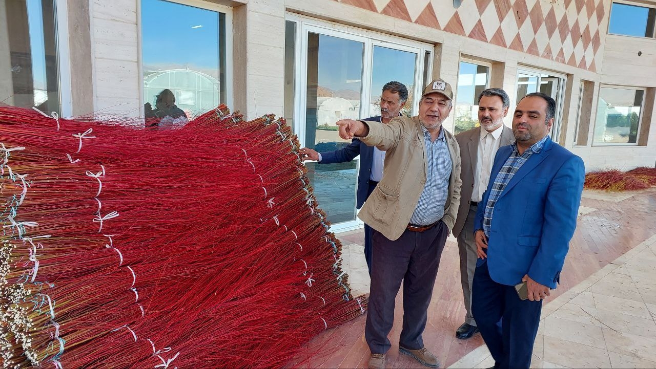 بازدید از پایانه صادراتی بید قرمز