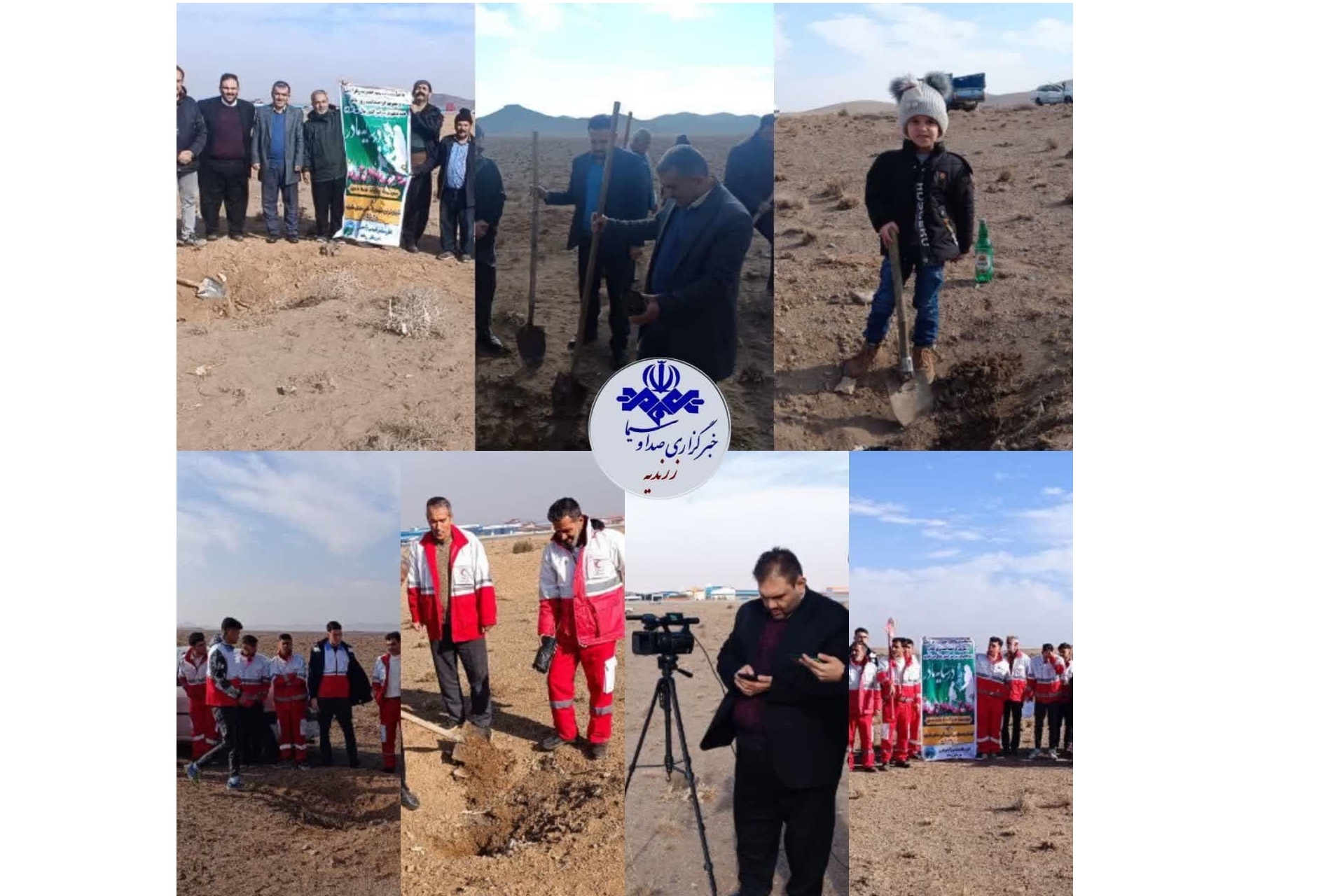 کاشت سه هزار اصله نهال در پویش سایه مادری