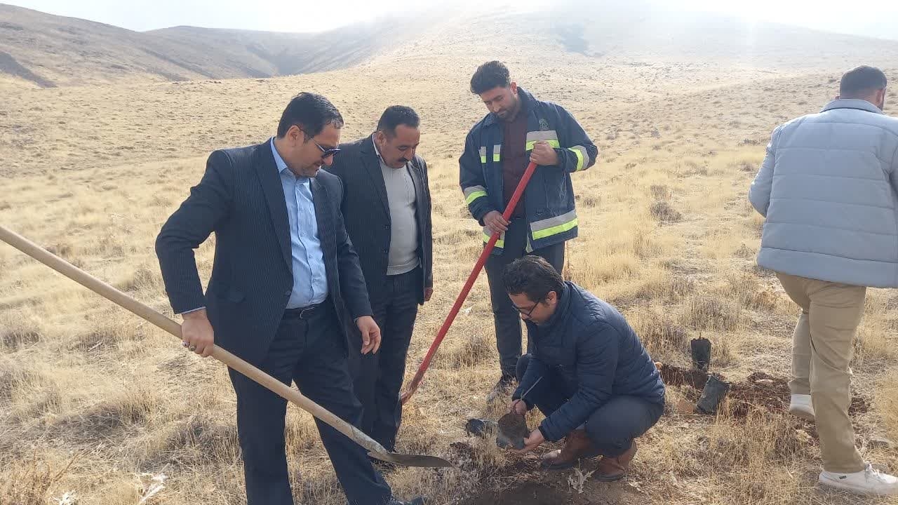 حضور رستمی سرپرست فرمانداری در پویش درختکاری به نام پدر