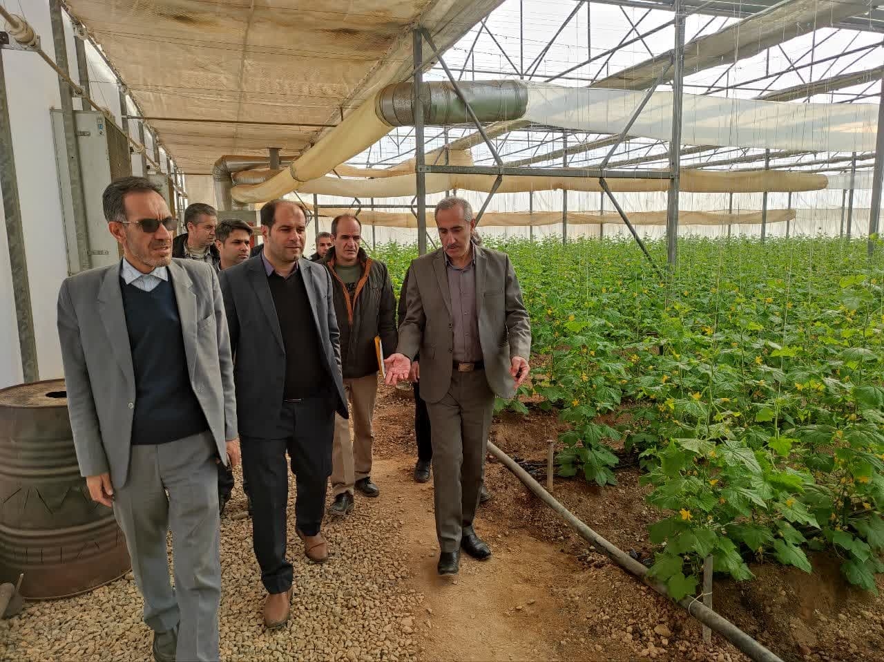 سرپرست فرمانداری و نماینده مردم خمین در مجلس از مجتمع گلخانه ای خمین بازدید کردند