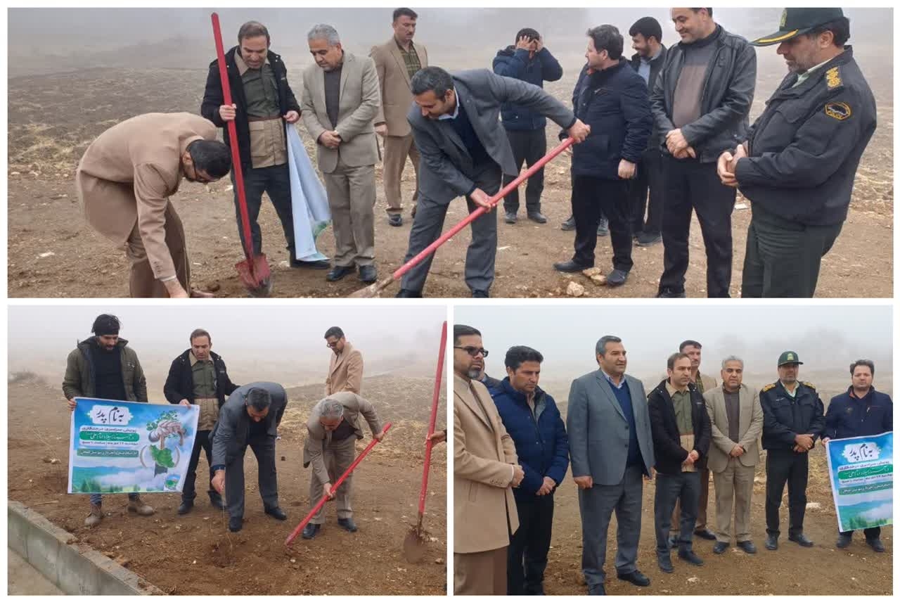 پویش سراسری درختکاری