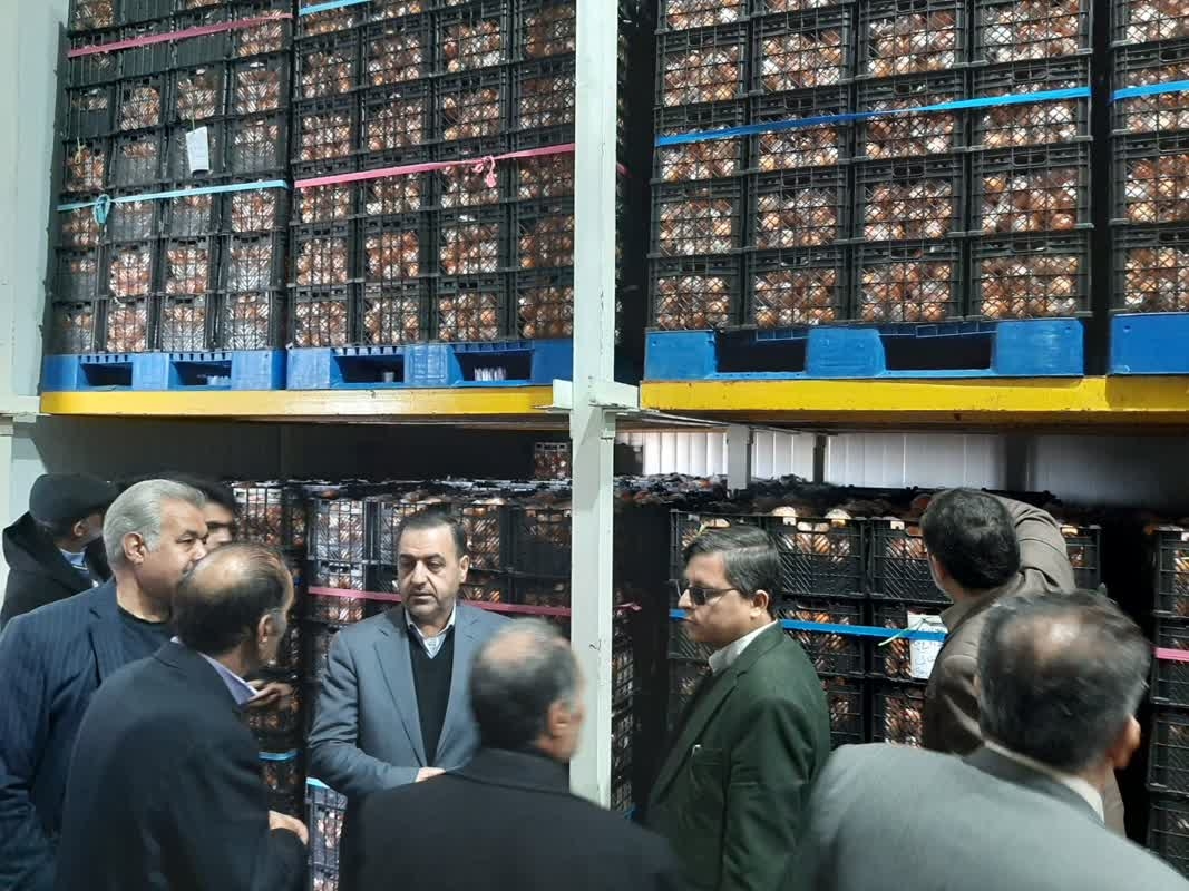 بازدید معاون هماهنگی امور اقتصادی استاندار از سردخانه هیمالیا محل ذخیره میوه
دوشنبه ۱۳ اسفند ۱۴۰۳