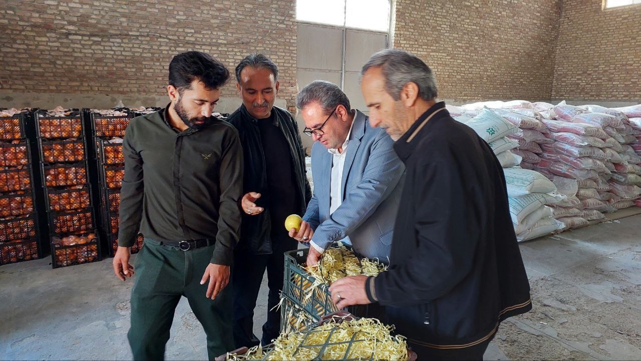 بررسی میدانی سرپرست فرمانداری شهرستان محلات از محل عرضه‌ی میوه‌ی تنظیم‌بازاری