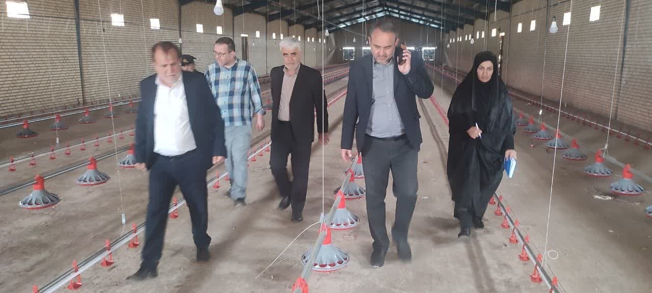 بازدید از یکی از مجتمع های مرغداری  شهرستان