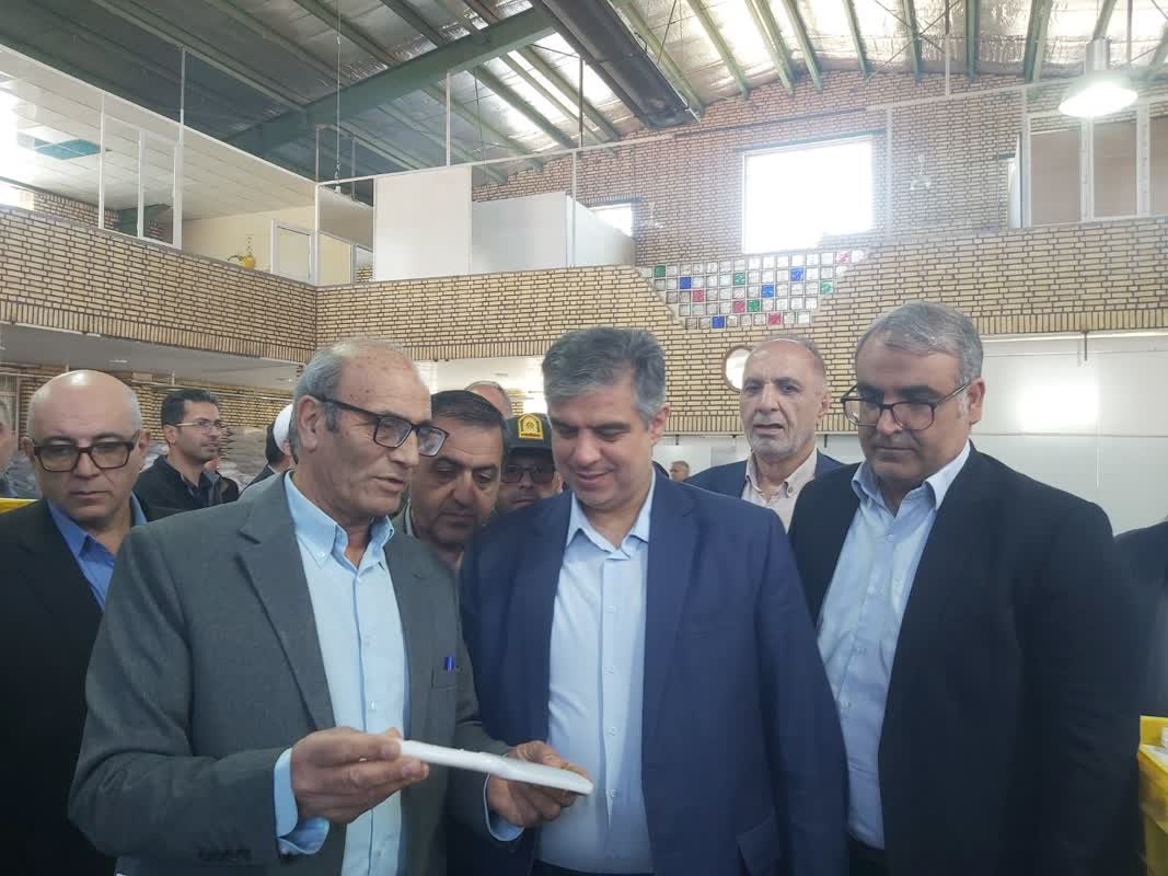 بازدید دکتر زندیه وکیلی استاندار مرکزی به اتفاق معاونین هماهنگی امور اقتصادی و عمرانی استانداری، سرپرست فرمانداری،نماینده مردم منطقه،امام جمعه و سایر مدیران استانی و شهرستانی از خطوط مختلف تولید شرکت راشا گستر ایرانیان