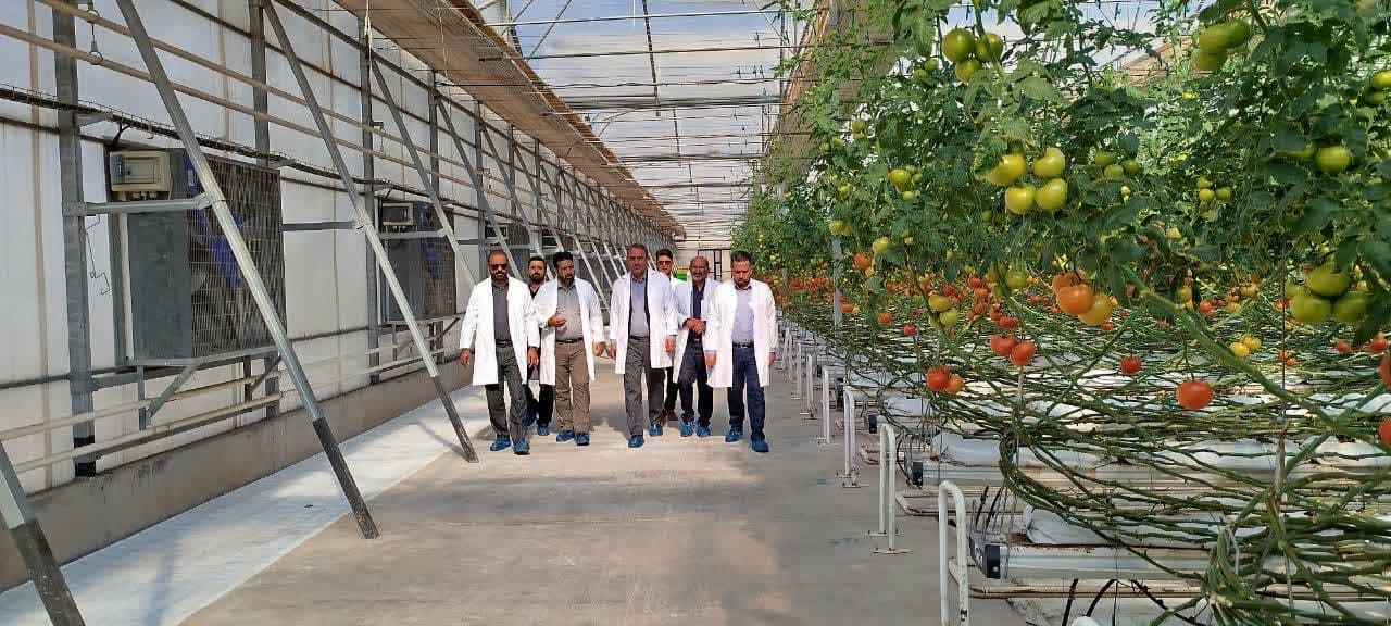 بازدید سرپرست فرمانداری شهرستان زرندیه از مجتمع کشت و صنعت زرین کشت