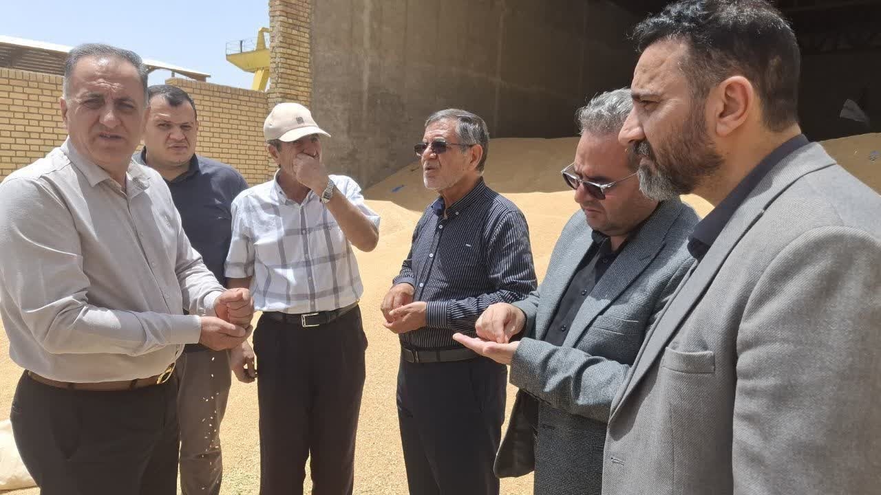 بازدید از روند خرید تضمینی گندم و تولید آرد در محلات